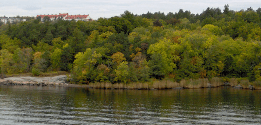 Photo of a forested island in the Stockholm Bay, with apartment buildings in the distance
