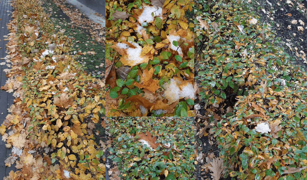 Wacky Weather [26.10.23]