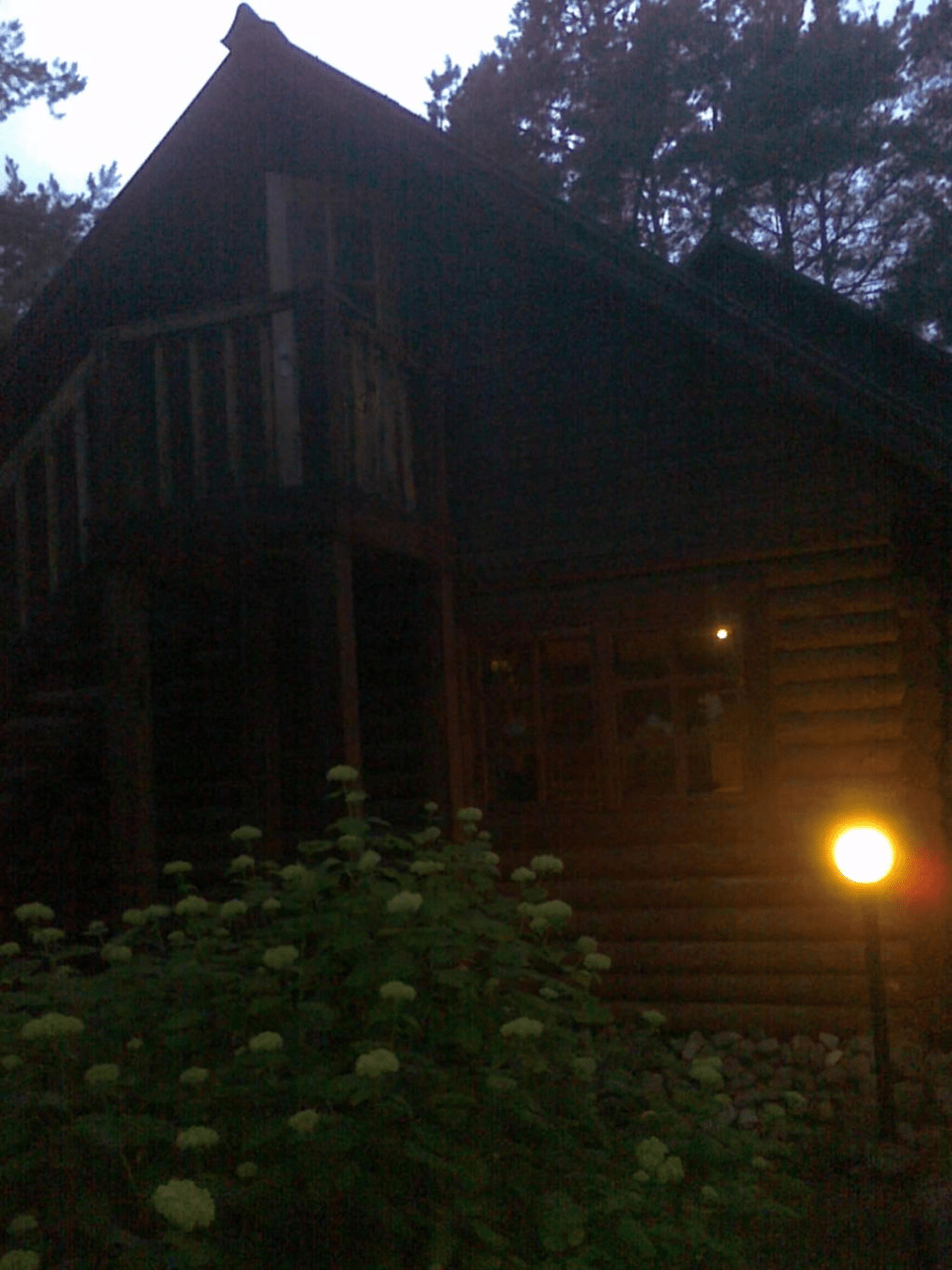 Photo of a wooden cabin in a forested area