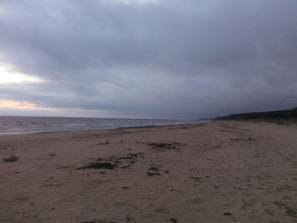 View of the beach, with the sea to the left and the forest to the right, sky being covered by thick clouds