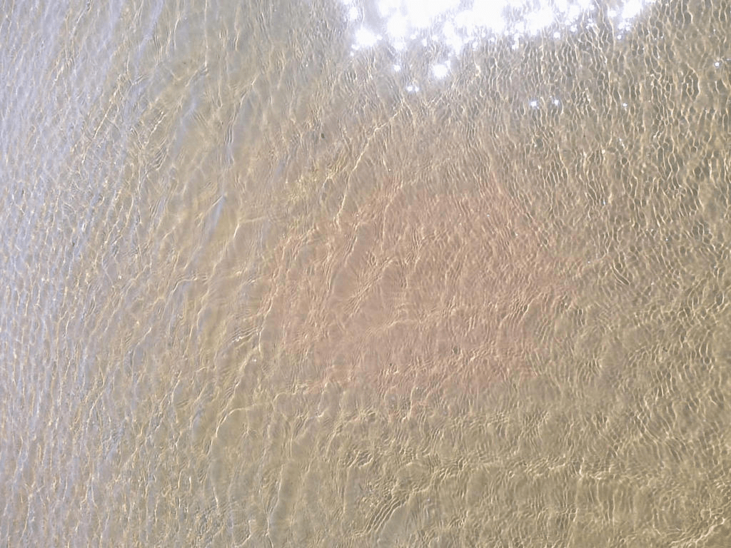 Shallows of the sea, with rippling waves across the surface