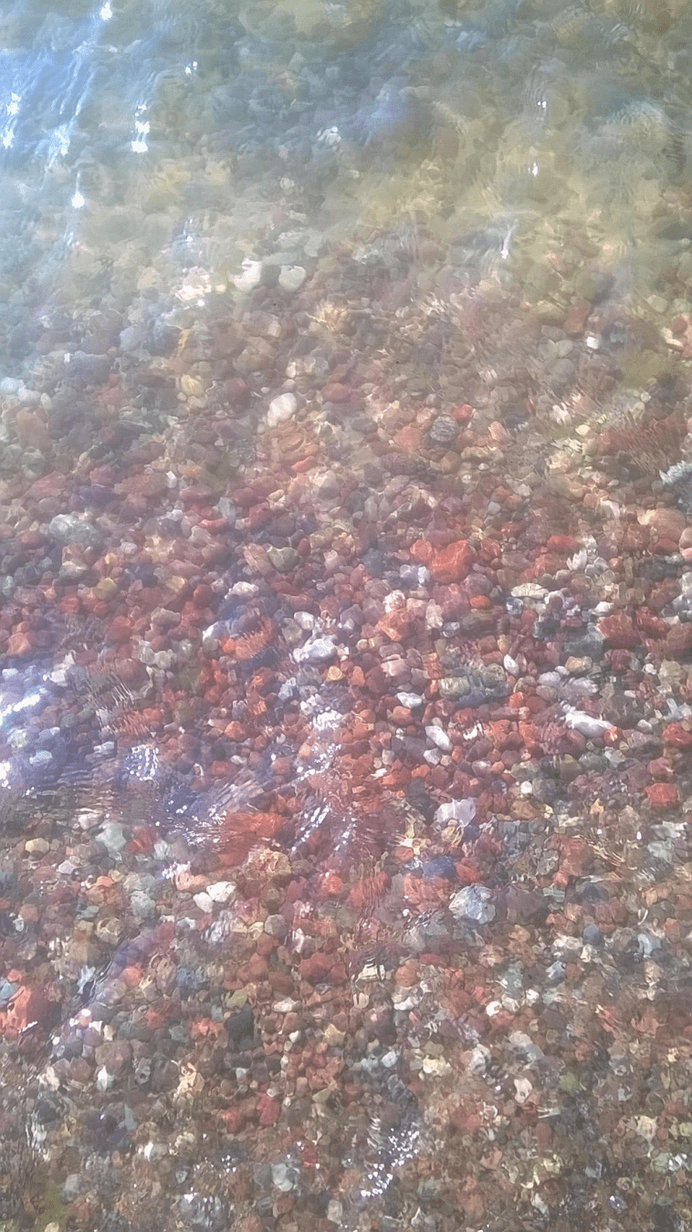 Pebbled ground in the shallows of the sea, with some seaweed further up