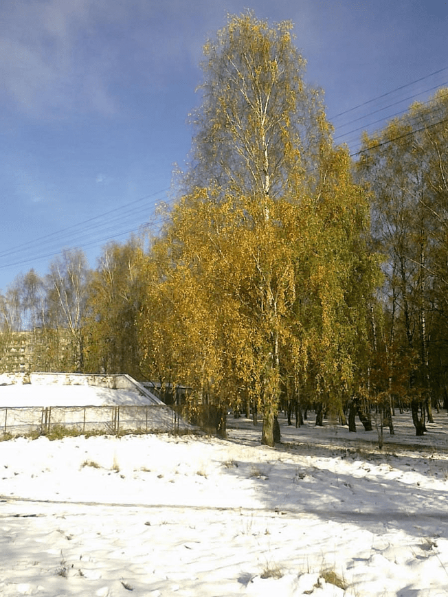 Wacky Weather [29.10.12]