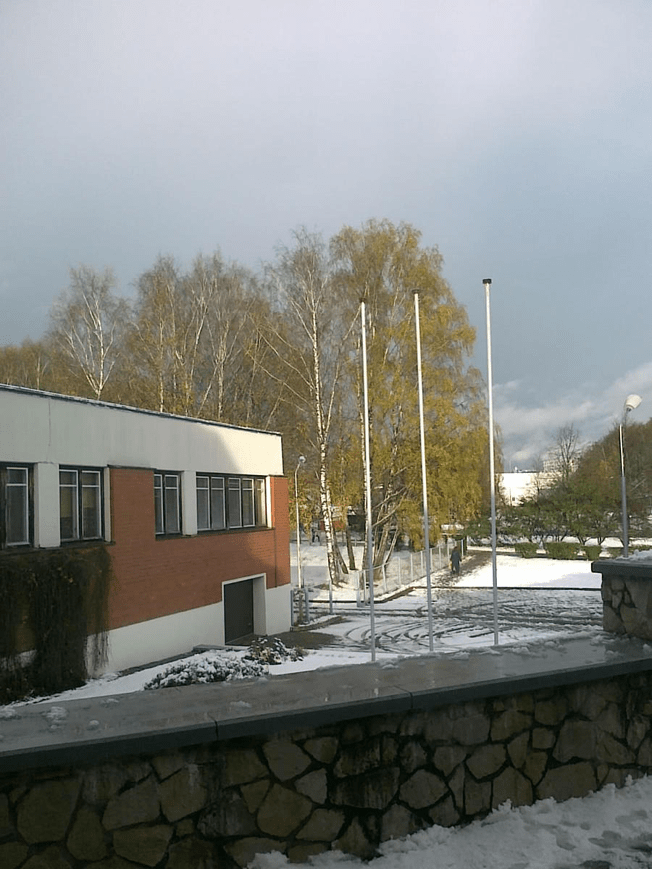 Photo taken from the school front, snow visible on the ground, trees with plenty of green leaves by the buildings side and across the street.