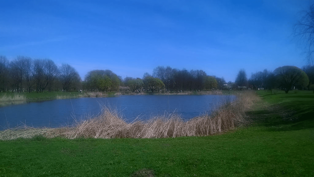 Photo taken across the small pond in a park during spring.