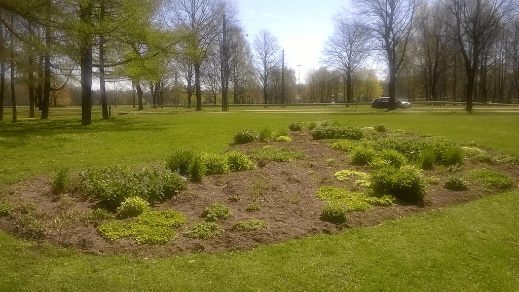 Photo of a flower bed in a park during Spring.