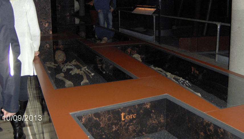Glass 'graves' that hold skeletons of the deceased from the Vasa