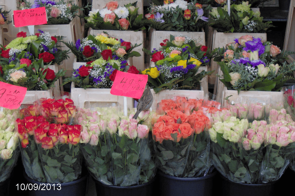 Flower stall with a lot of flowers in bouquets, with a sparrow sitting on some flowers