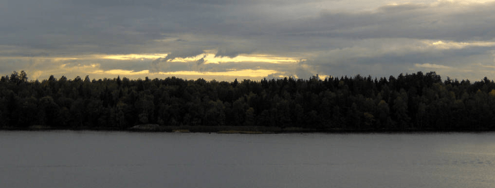 Photo of the forested area on the other side from the port where the cruise ship was