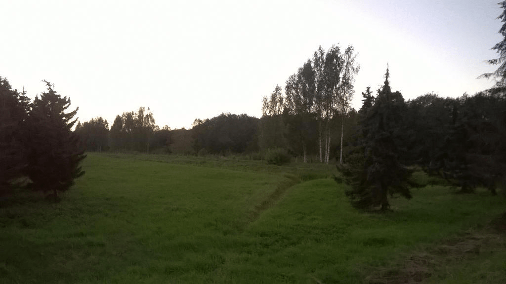 A green field, with trees speckled across it, the sun glaring in the sky as it sets