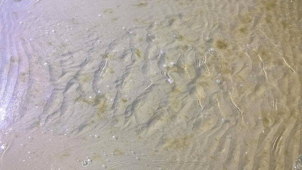 The shallows of the beach, with marks in the bottom from the rippling water, and some seaweed scattered about