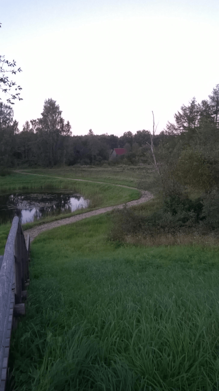 A look down the hill, where a pond is located, with a dirt path leading from wooden stairs down and through the grass