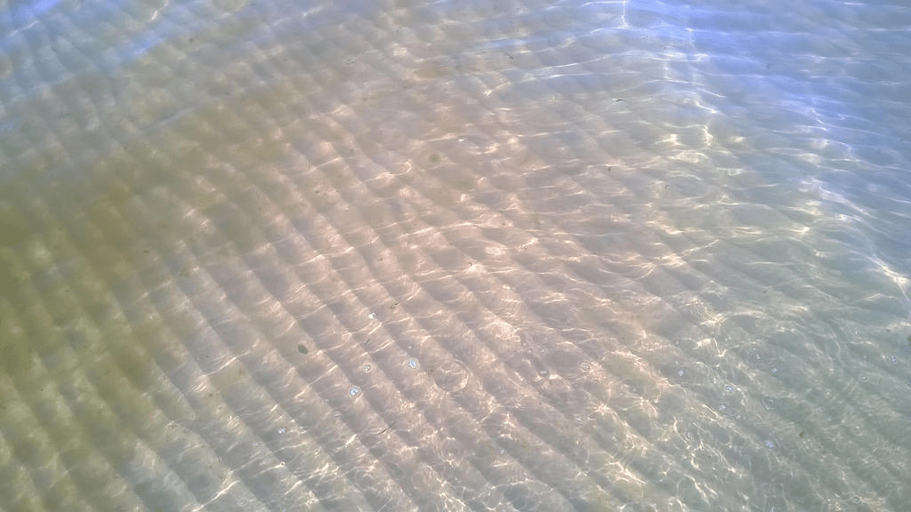 The bottom of the shallows at the beach, light rippling and some algea visible on the left side