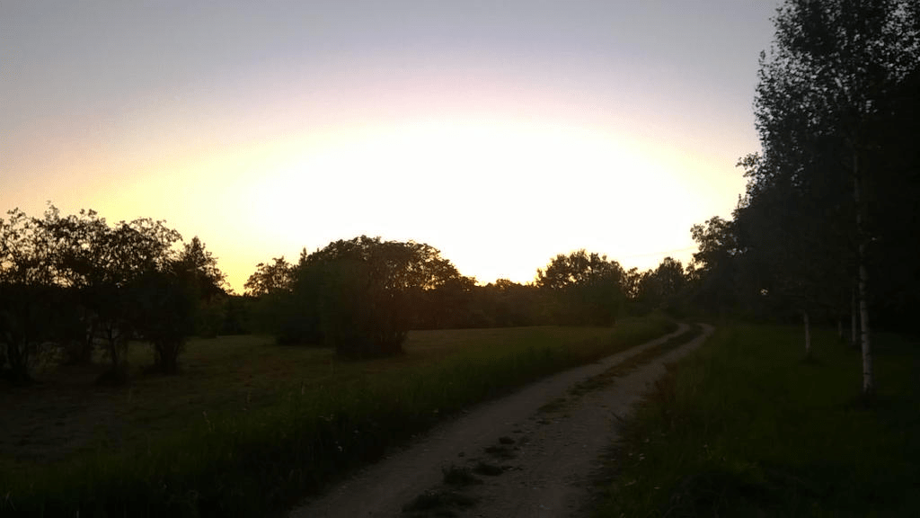 A dirt road through a lightly forested area, the setting sun is GLARING and makes everything seem darker than it actually is