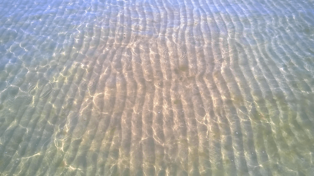 Sandy bottom of the beach shallows, the ground grooved and bespectacled with light and some algea in places