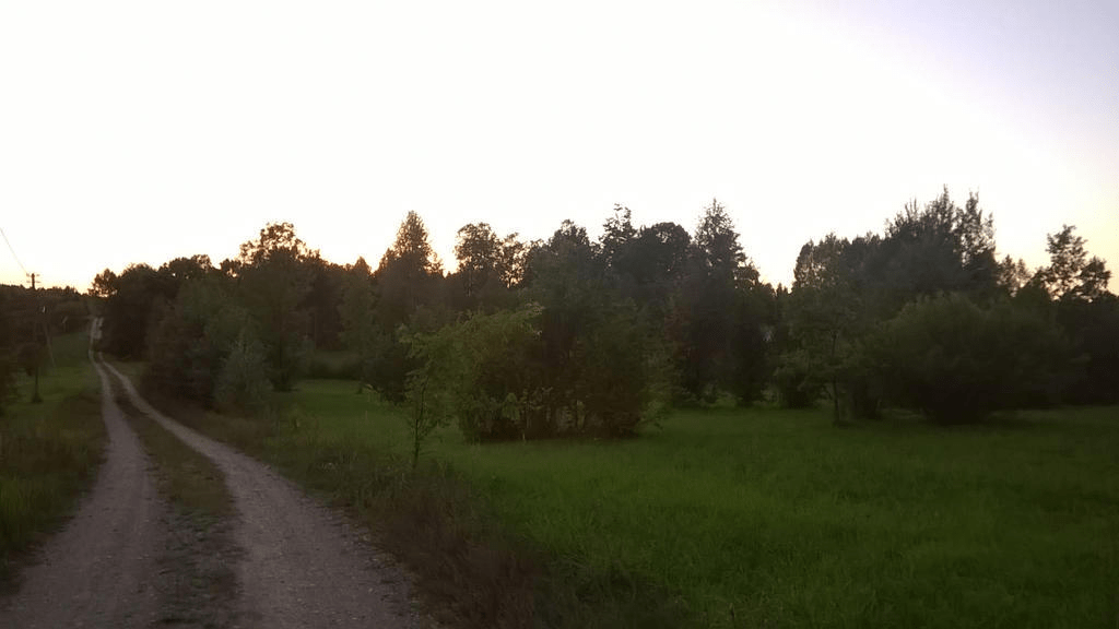 The sky is bright from the setting sun, the area is a forested field