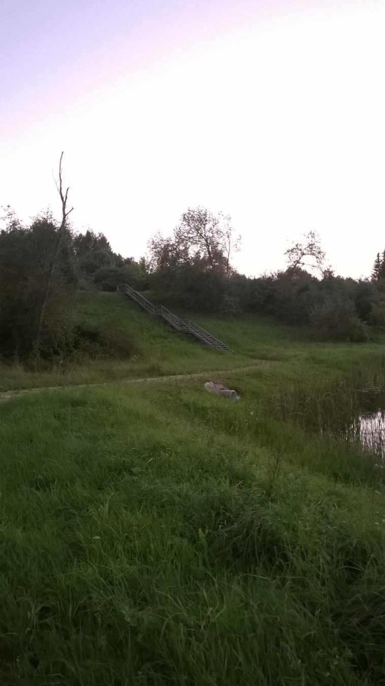 Shot of the wooden stairs that lead up the hill from the pond