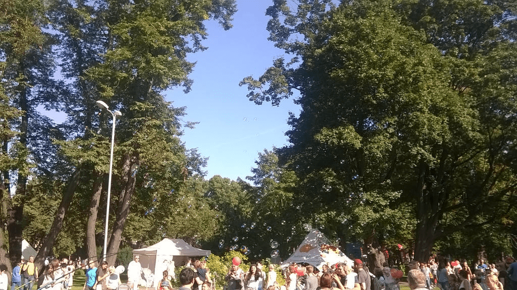 Bubbles floating above the crowd, as they try to catch them
