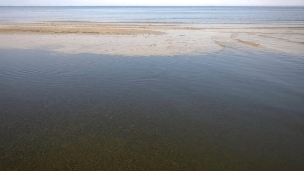 Shallows at the beach, filled with sea weed and a lot of it