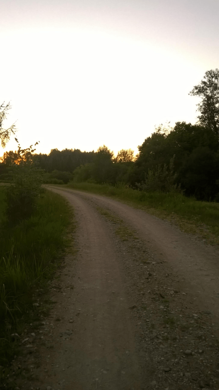 A dirt road through a forested area, the bright sky from the setting sun
