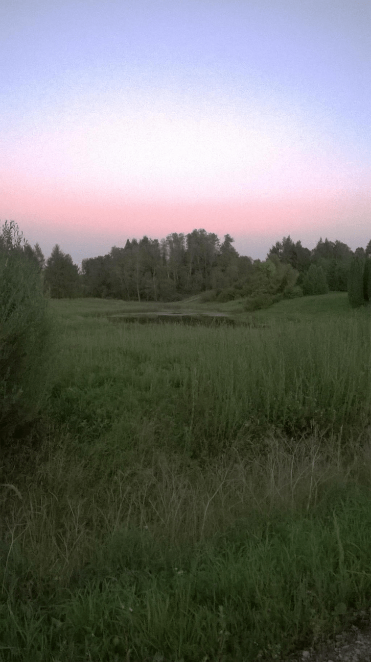 The pond in the distance, surrounded by the lush grass, the sky blue and pink, from the seeting sun
