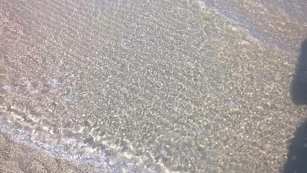 Small waves in the shallows, water clear, the bottom visible with the light glistening on it