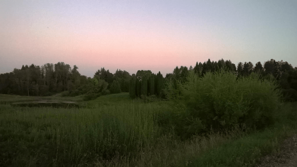 A shot of the area around the pond, lush and lively, even as the sky is painted by the setting sun