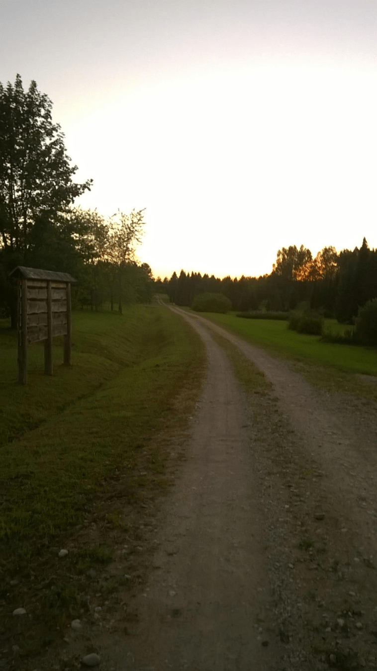 Dirt road through a forested area, with a wooden notice board on the left side, the sky bright from the setting sun