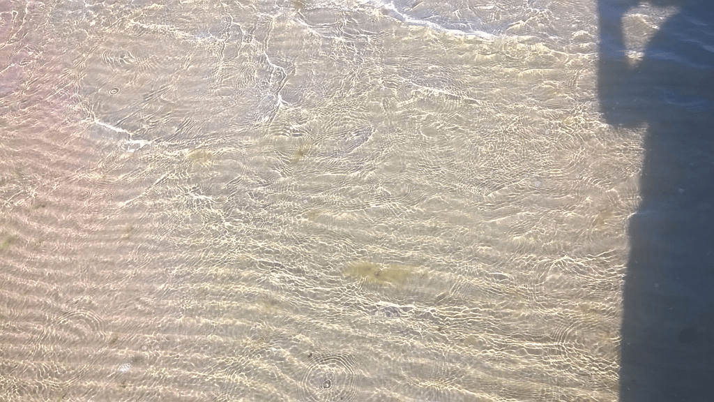 Shallows at the beach, small waves rippling and the grooved bottom had glimmering lights