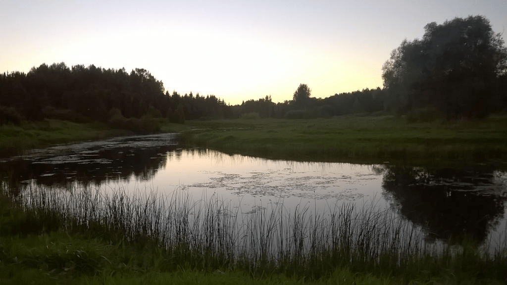 From a different side, the pond reflects the trees and grass around it and the sky that is bright from the setting sun