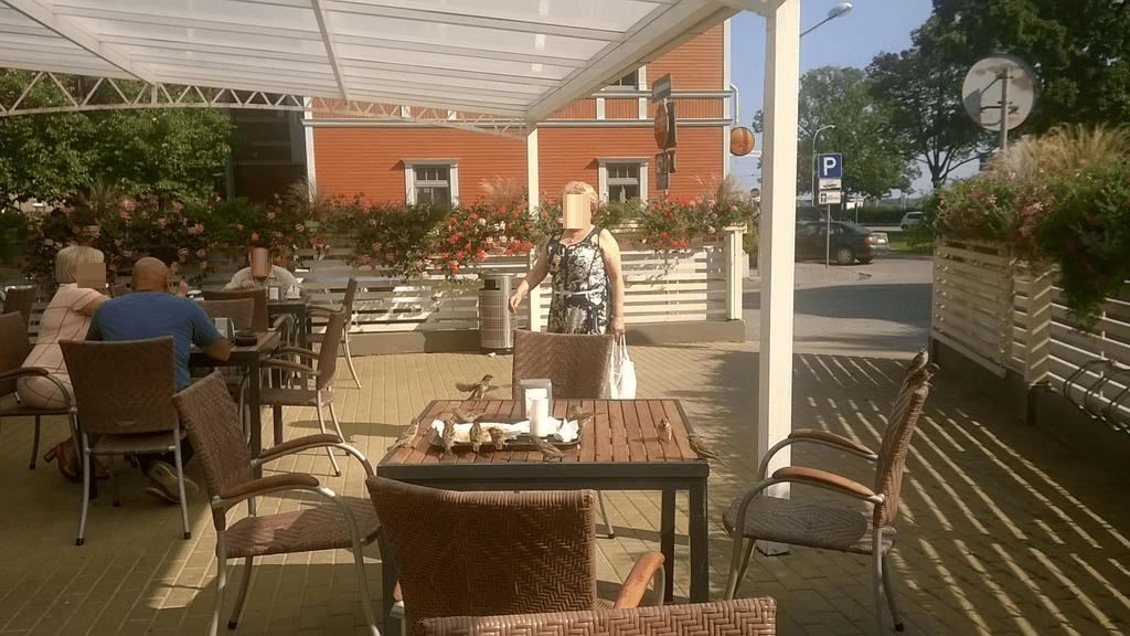 Photo taken in the outdoor section of a restaurant, with people walking in or at their table, but focus is on the table, with a plate of food, with birds helping themselves to some of it