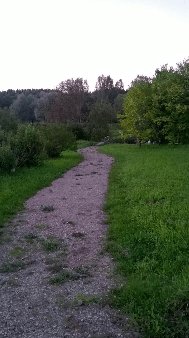 A rocky/dirt path through the field, leading down to wooden stairs down the hill