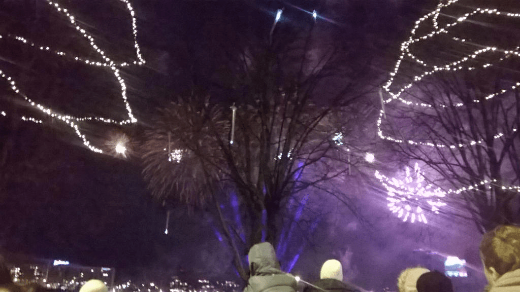 Purple fireworks bursting in the sky