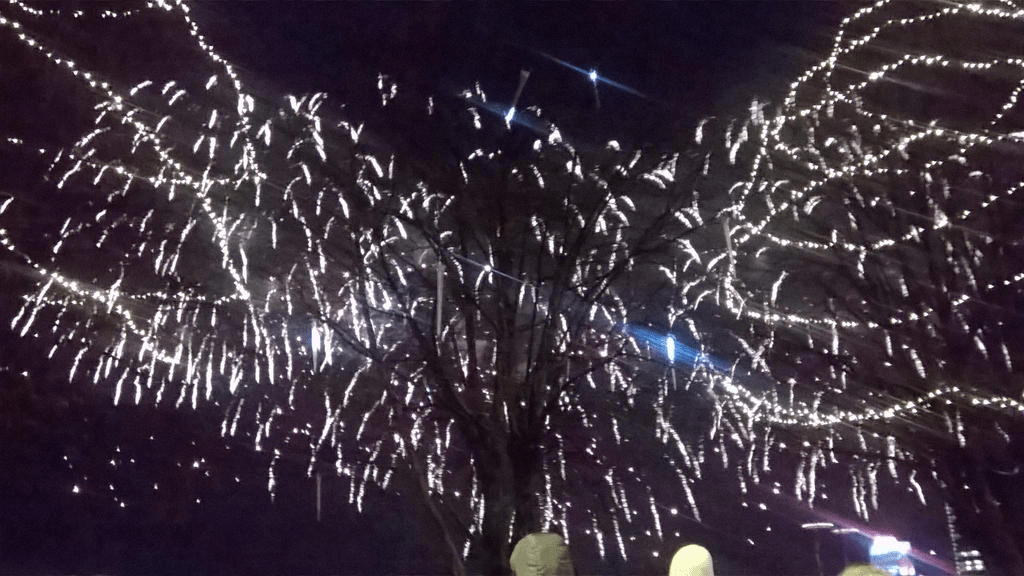 Bright fireworks lighting up the sky, with sparks raining down