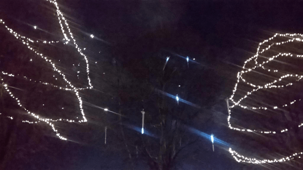 Some fireworks fizzling out in the sky