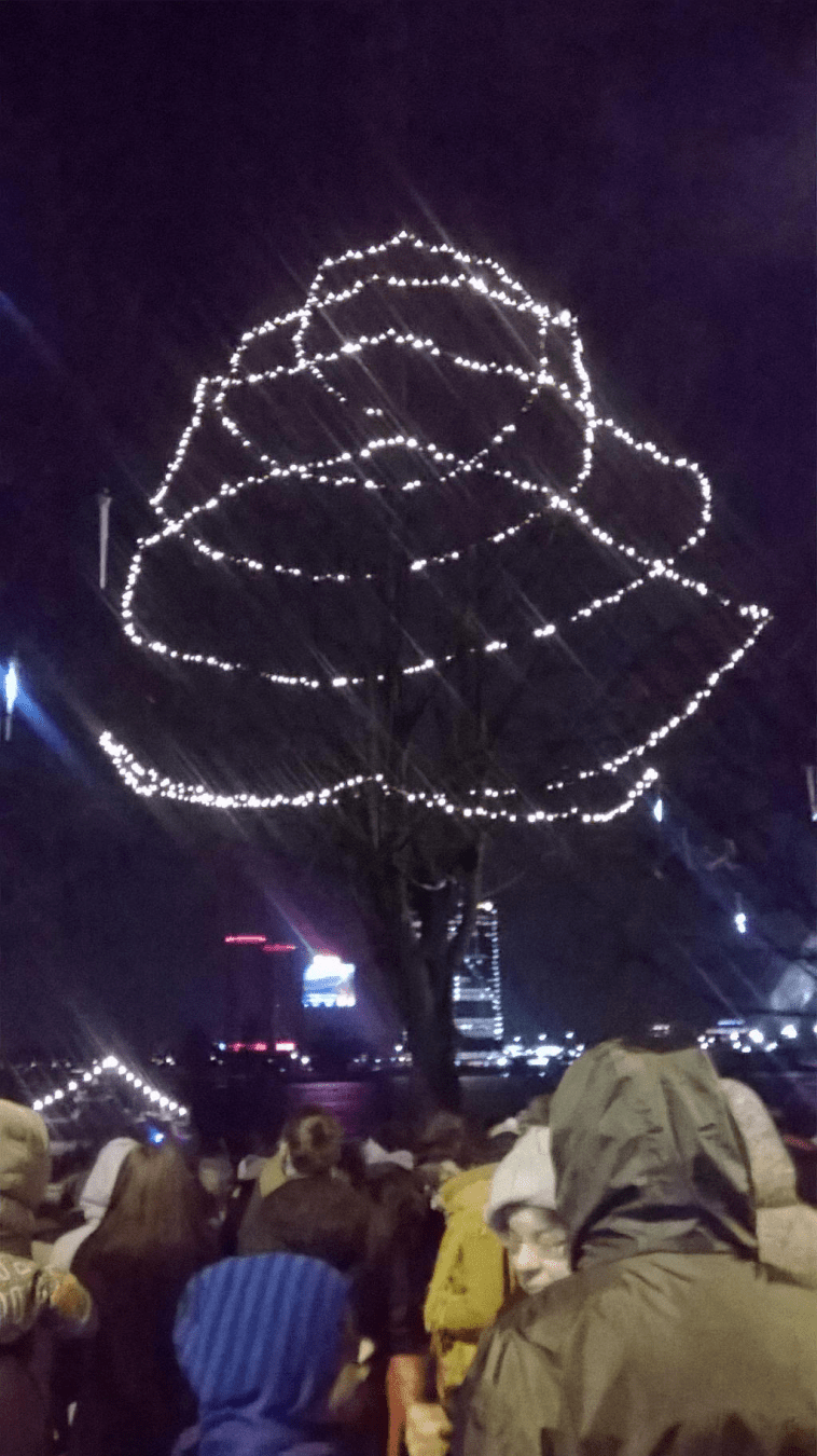 A tree is decorated with string lights, golden in colour