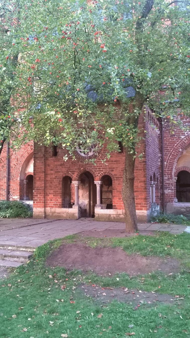 Focus on the entrance, with trees by its sides
