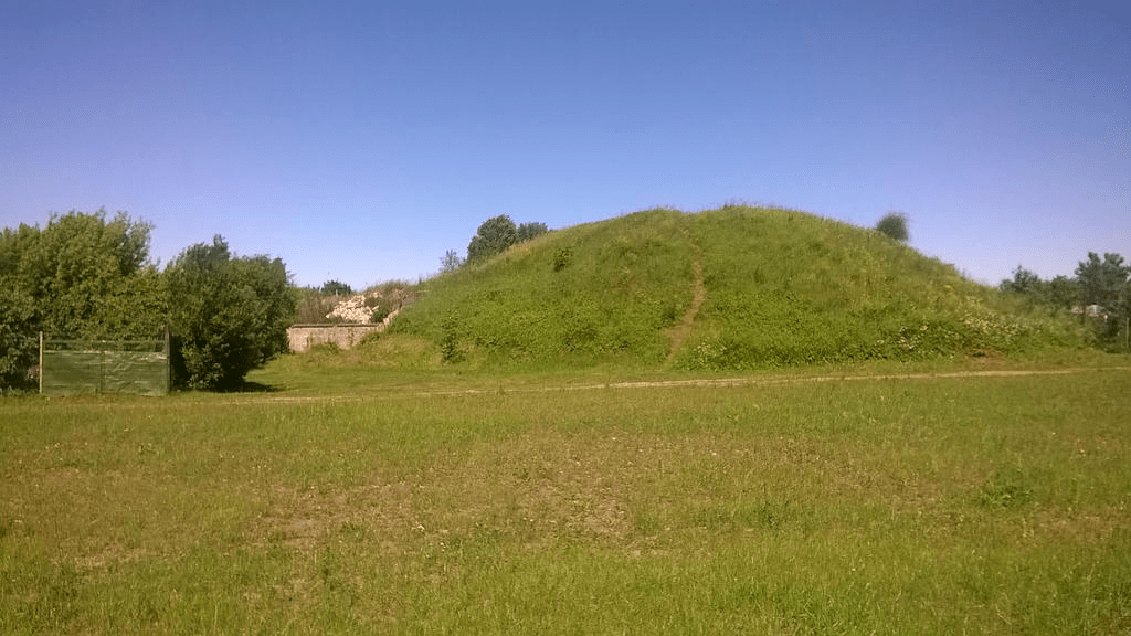 Photo of an overground airplane hanger across a grassy field, on a nice summer day.