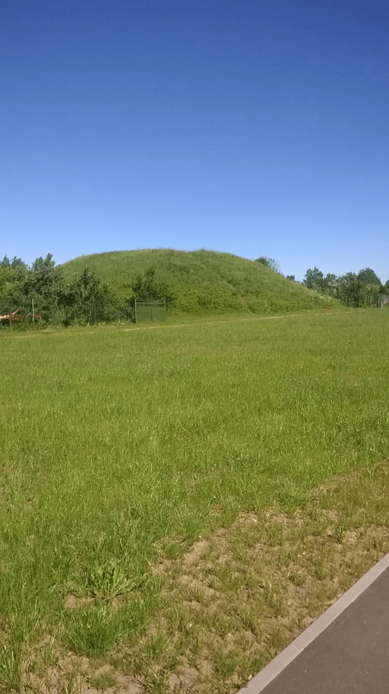 Photo of an overgrown airplane hanger across a grassy field, on a nice summer day.