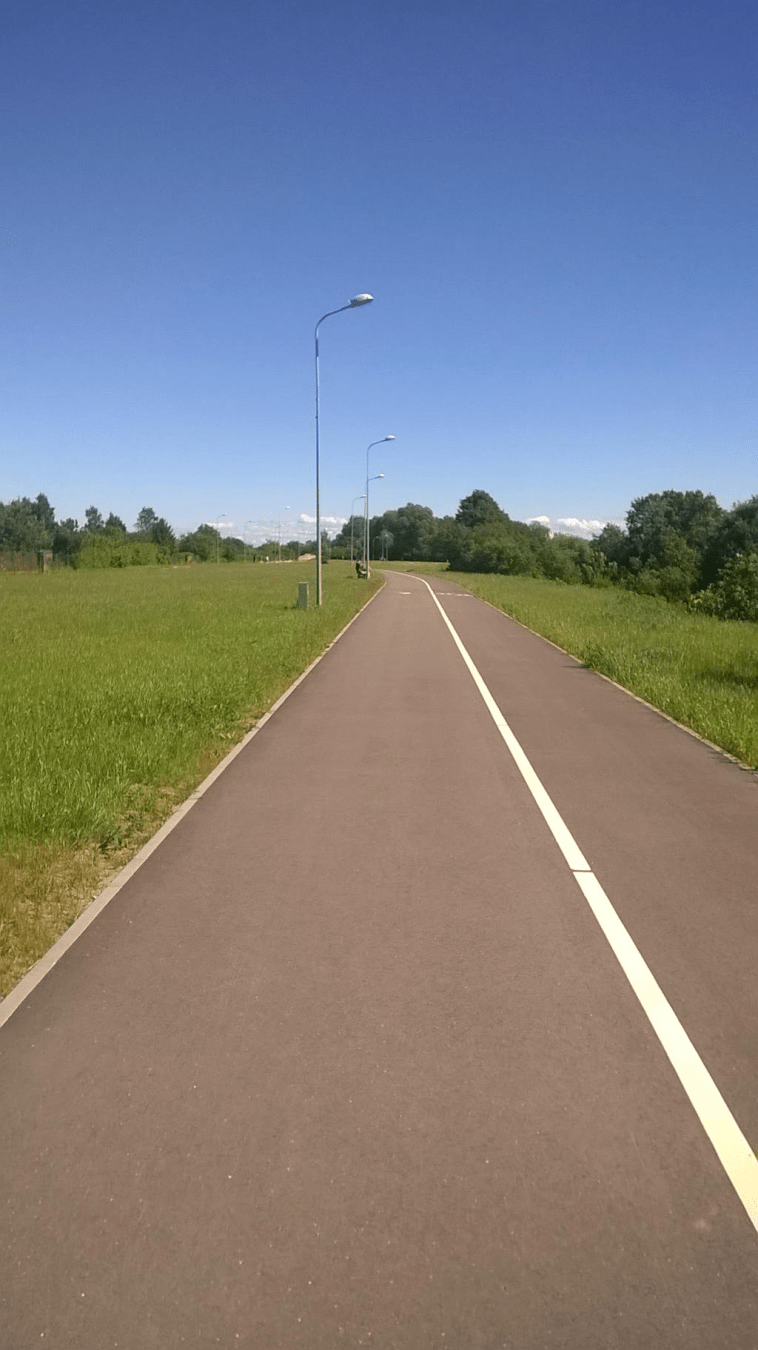 Photo of a paved road through a grassy field on a summer day.