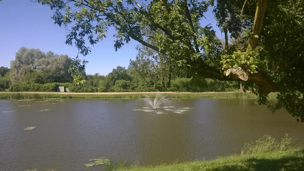 Photo of a small pond, with a fountain in the middle, shooting water, with grass and trees green from the warm summer day.