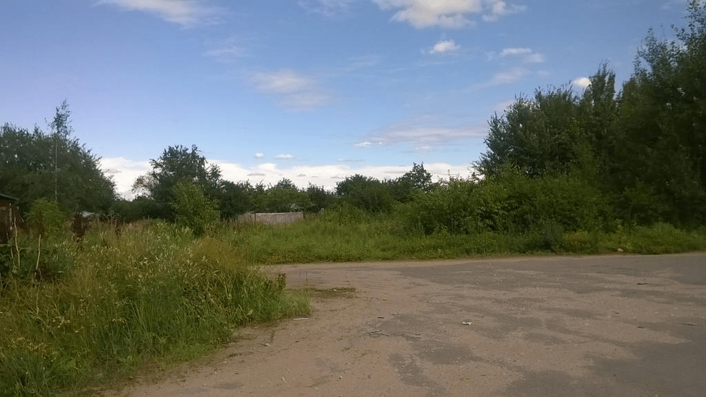 The overgrown grass is hiding structures further away that the dusty road leads to
