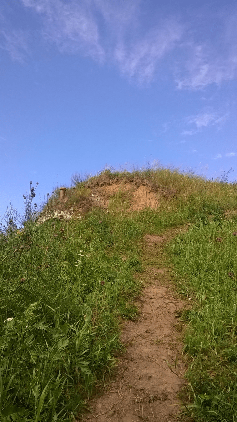 Walked in path, on the overgrown grass on the hangers