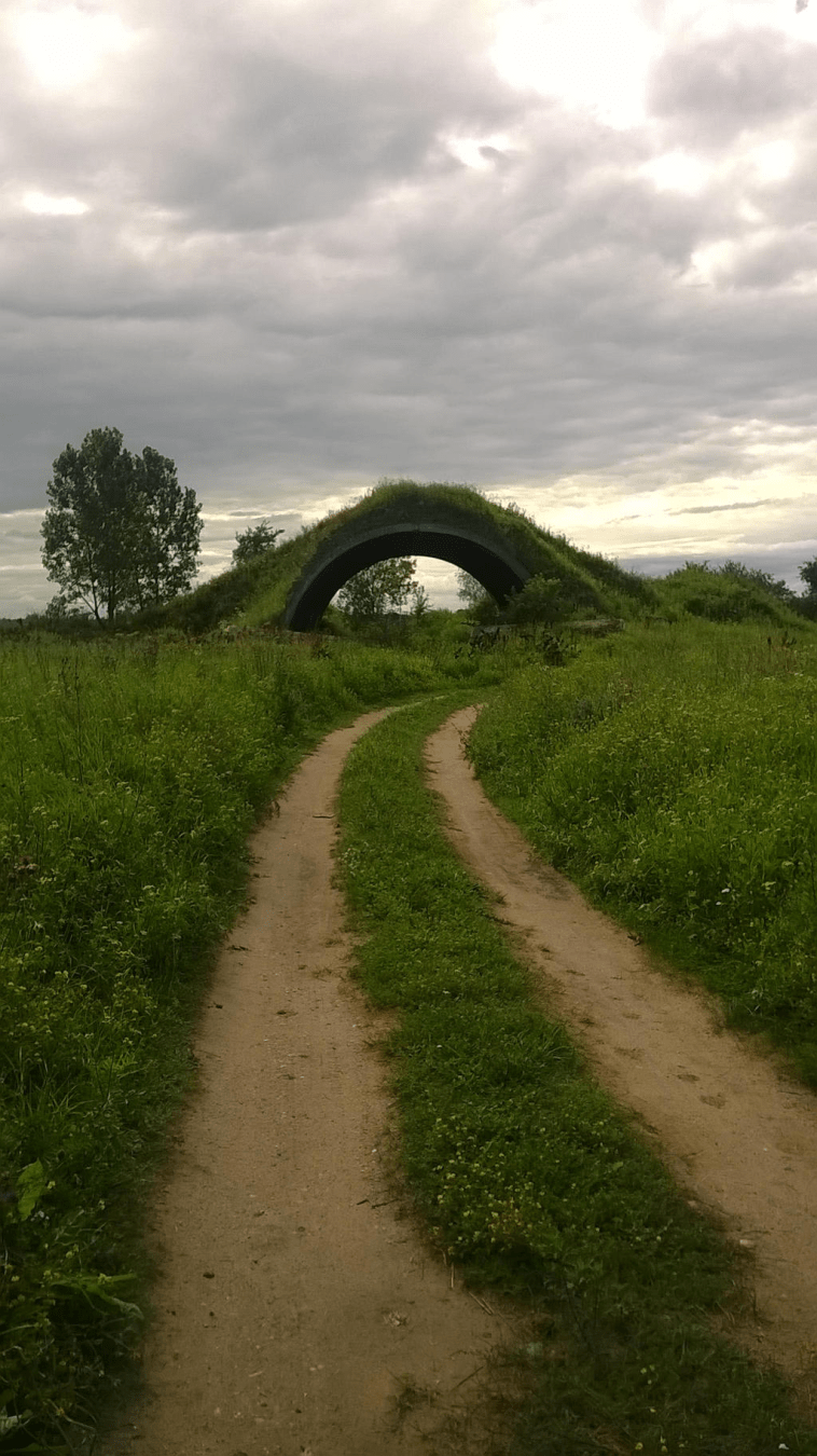A dirt road made by constant cars going through the area, with an old overgrown hanger in the distance, sky overcast