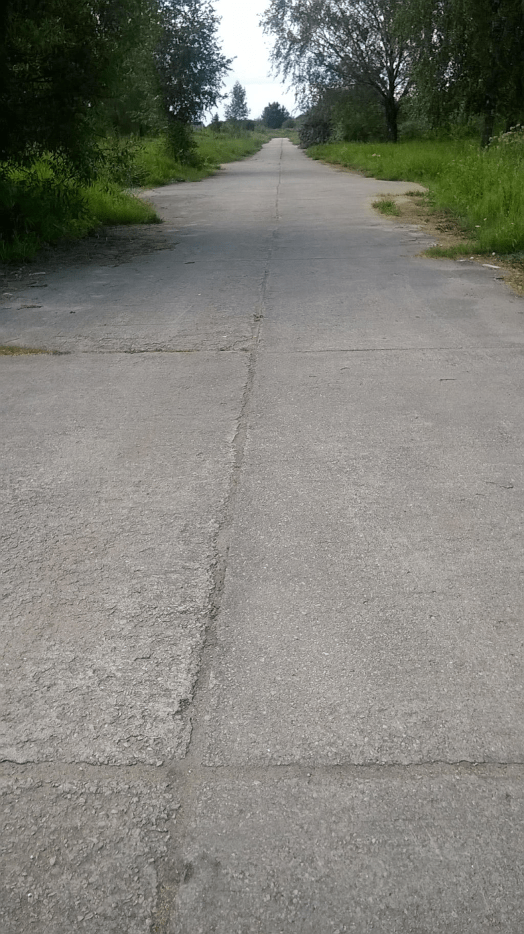 Old road, once a taxiway, with tall grass and big trees on the sides