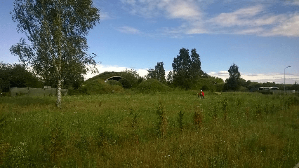 Overgrown hanger in the distance, across a lush field, with a big birch tree off to the left