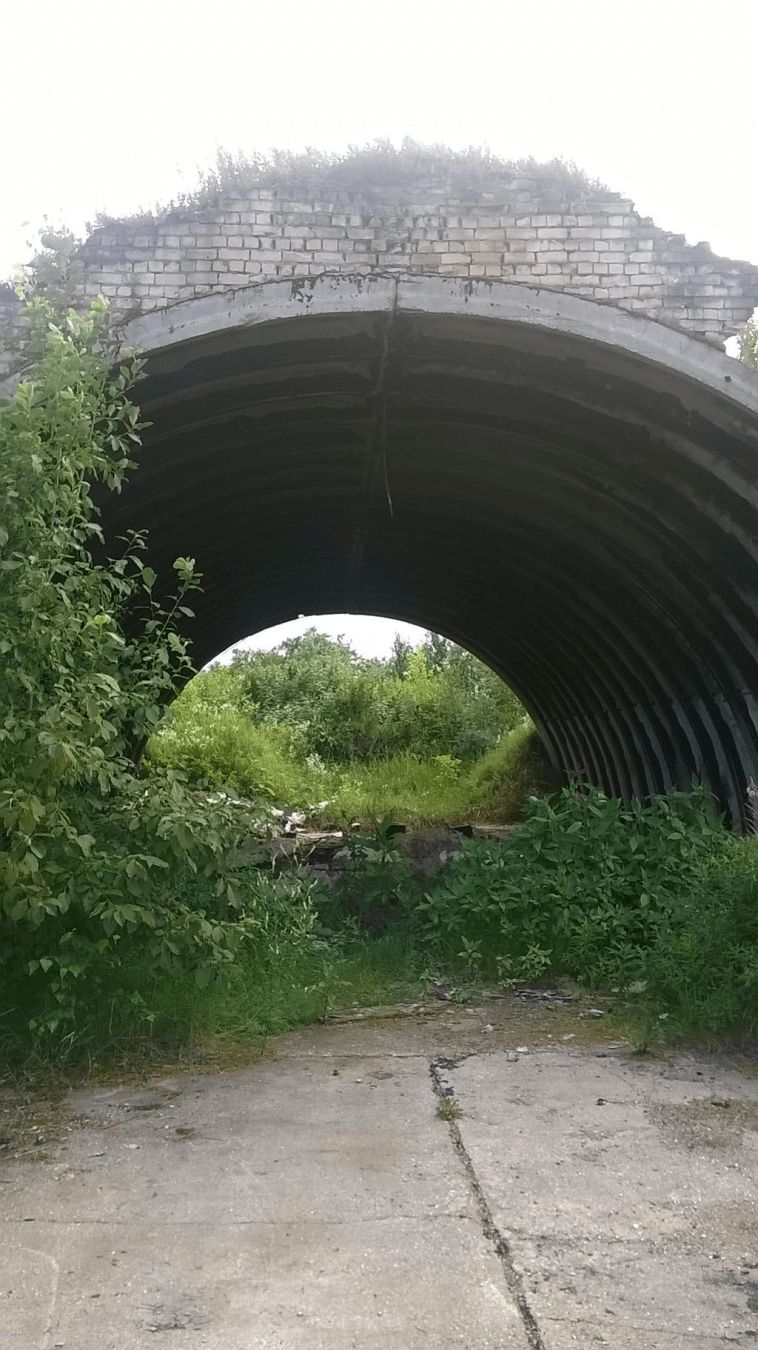Close up an old hanger, the top covered in grass and the inside full of overgrowth and stones