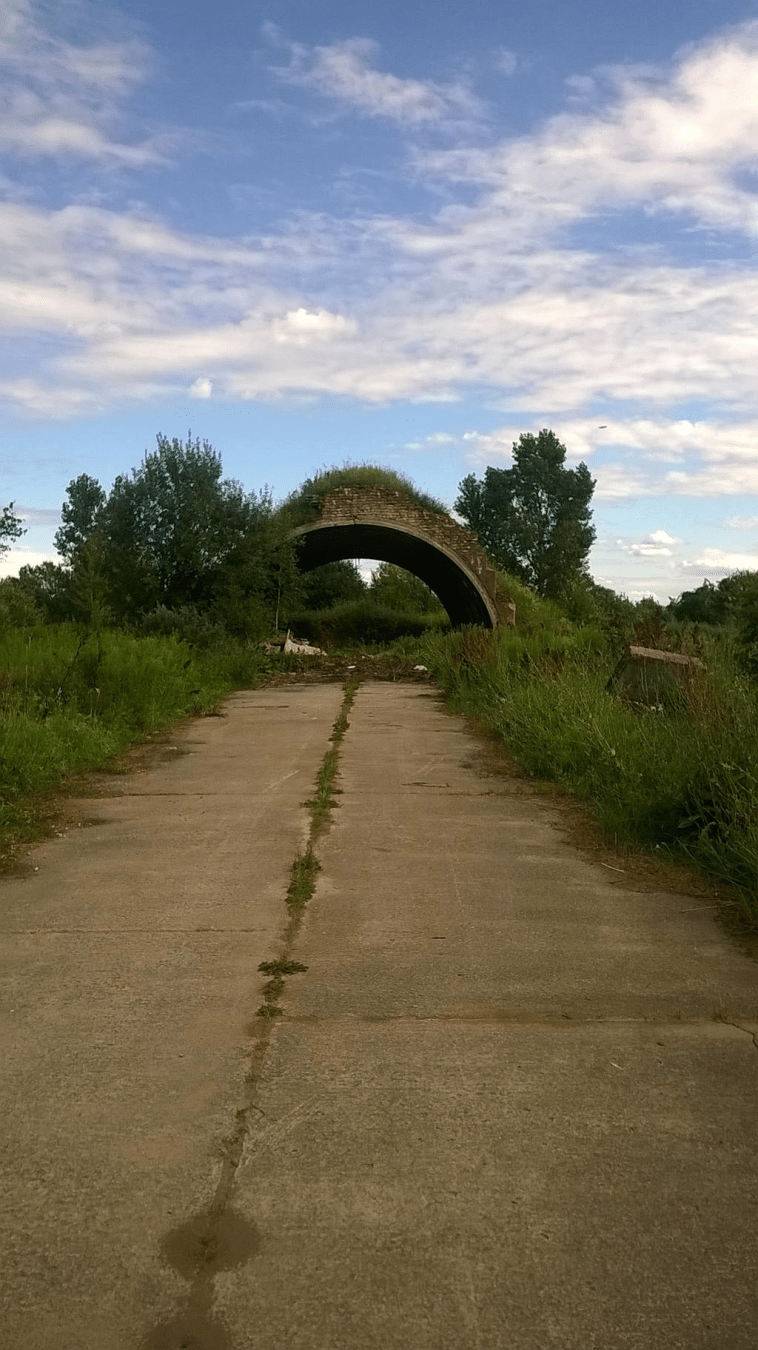 Grass covered old hanger, with debris inside of it, lush grass on both sides of the dusty road
