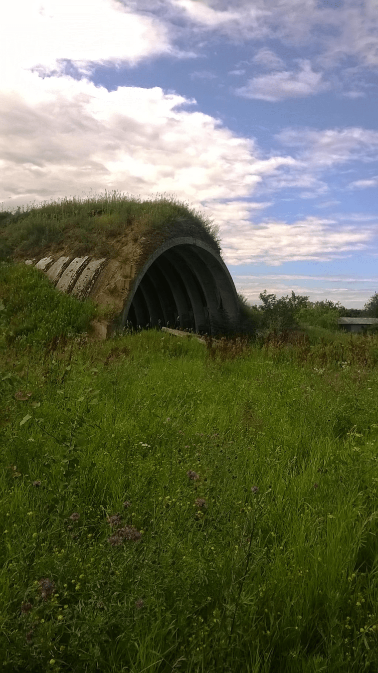 An old hanger, covered in sand and grass, some blocks in front of it, just hidden by the lush grass
