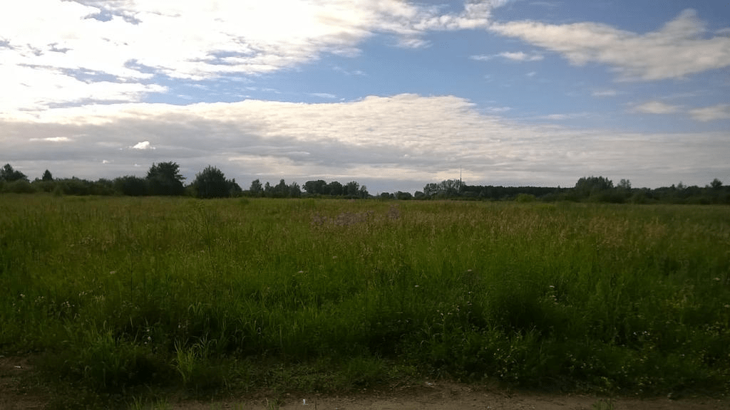 A lush field with lines of trees in the distance and sky mostly covered by clouds